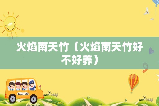 火焰南天竹（火焰南天竹好不好养）