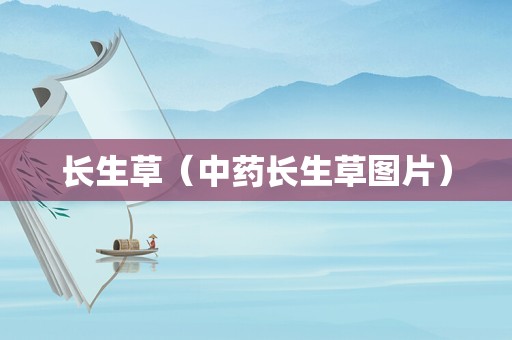 长生草（中药长生草图片）