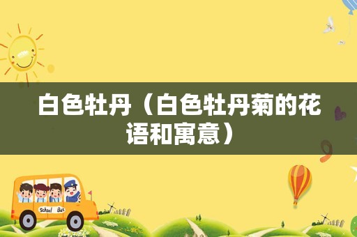 白色牡丹（白色牡丹菊的花语和寓意）