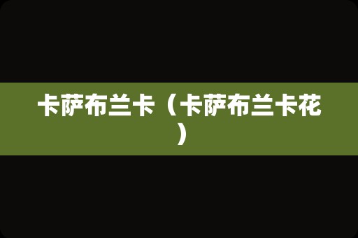 卡萨布兰卡（卡萨布兰卡花）