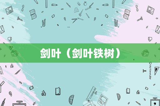剑叶（剑叶铁树）