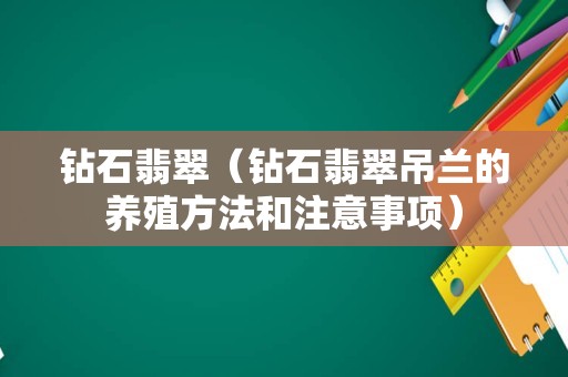 钻石翡翠（钻石翡翠吊兰的养殖方法和注意事项）