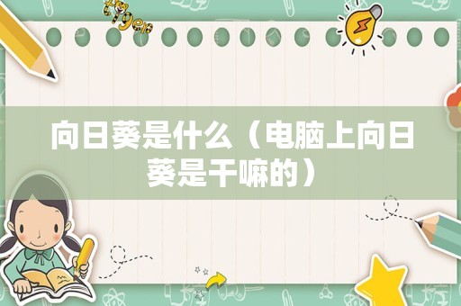 向日葵是什么（电脑上向日葵是干嘛的）