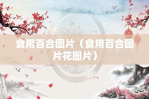 食用百合图片（食用百合图片花图片）