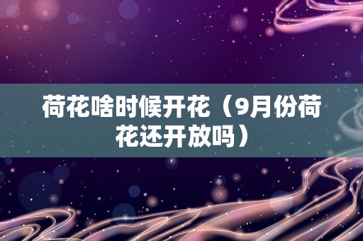 荷花啥时候开花（9月份荷花还开放吗）