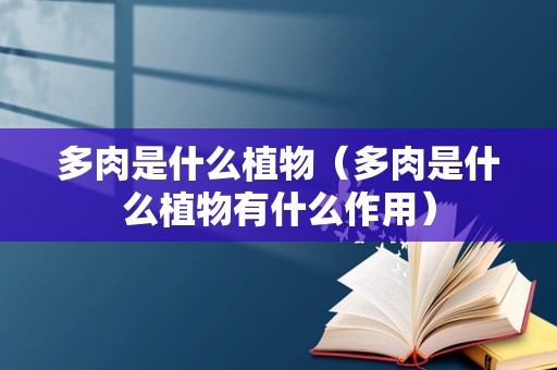 多肉是什么植物（多肉是什么植物有什么作用）