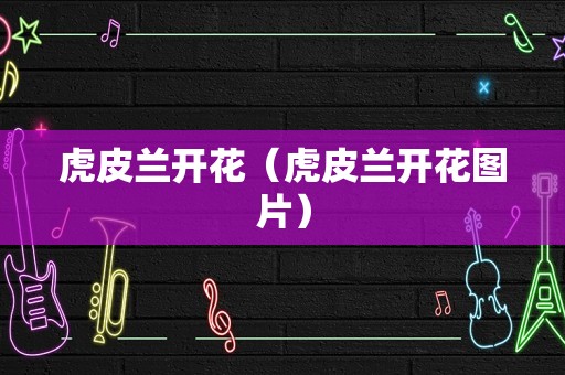 虎皮兰开花（虎皮兰开花图片）