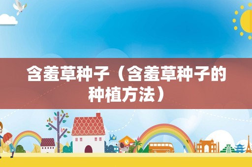 含羞草种子（含羞草种子的种植方法）