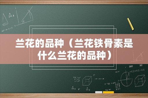 兰花的品种（兰花铁骨素是什么兰花的品种）