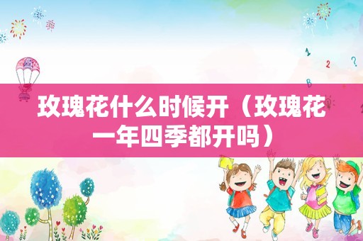 玫瑰花什么时候开（玫瑰花一年四季都开吗）
