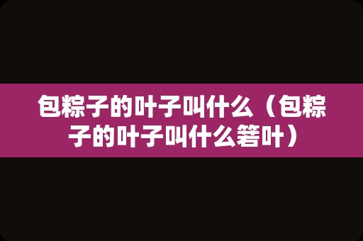 包粽子的叶子叫什么（包粽子的叶子叫什么箬叶）