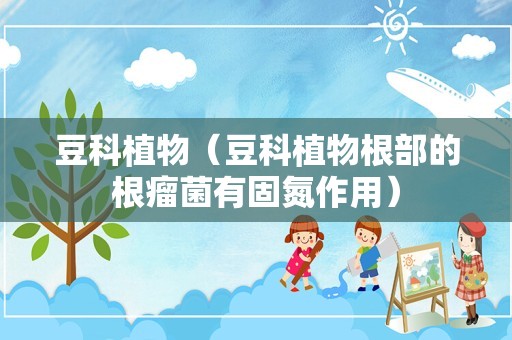 豆科植物（豆科植物根部的根瘤菌有固氮作用）