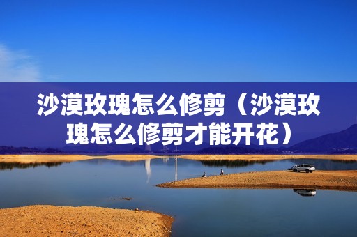 沙漠玫瑰怎么修剪（沙漠玫瑰怎么修剪才能开花）