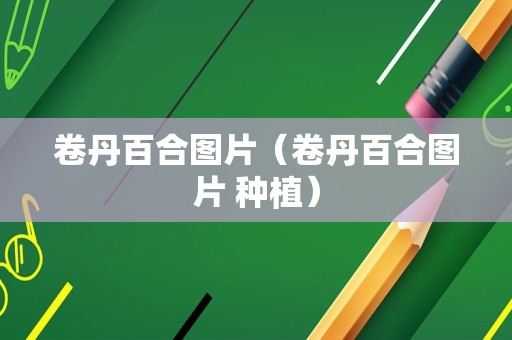 卷丹百合图片（卷丹百合图片 种植）