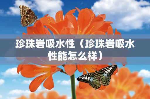 珍珠岩吸水性（珍珠岩吸水性能怎么样）