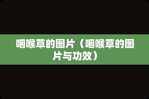 咽喉草的图片（咽喉草的图片与功效）