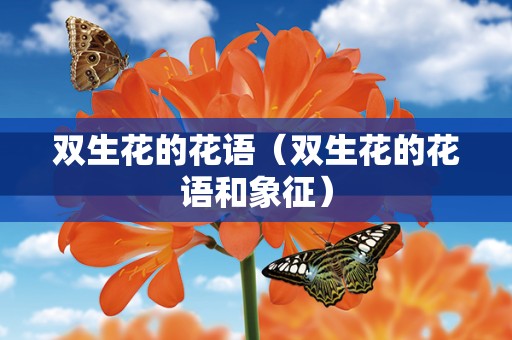 双生花的花语（双生花的花语和象征）