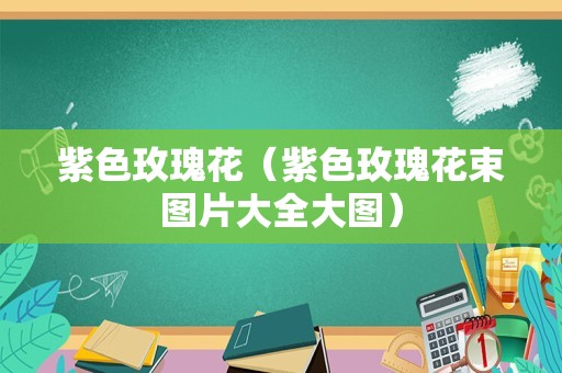 紫色玫瑰花（紫色玫瑰花束图片大全大图）