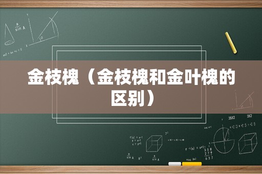 金枝槐（金枝槐和金叶槐的区别）
