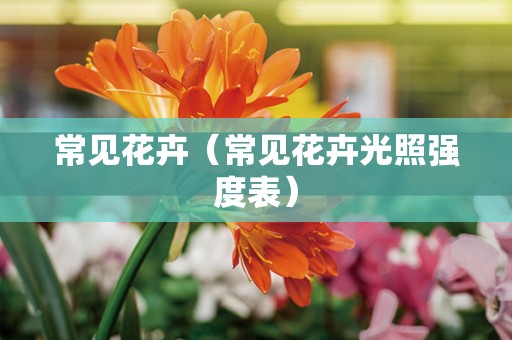 常见花卉（常见花卉光照强度表）