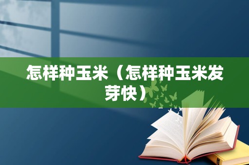 怎样种玉米（怎样种玉米发芽快）