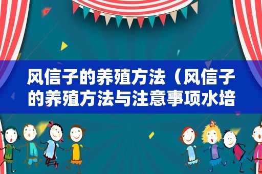 风信子的养殖方法（风信子的养殖方法与注意事项水培）