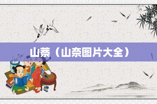 山萘（山奈图片大全）