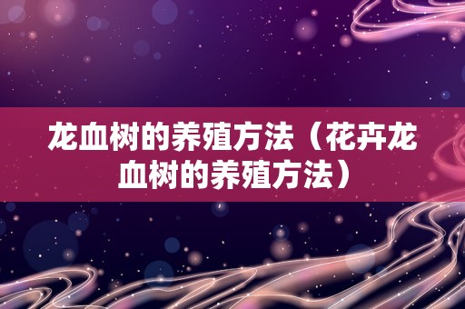 龙血树的养殖方法（花卉龙血树的养殖方法）