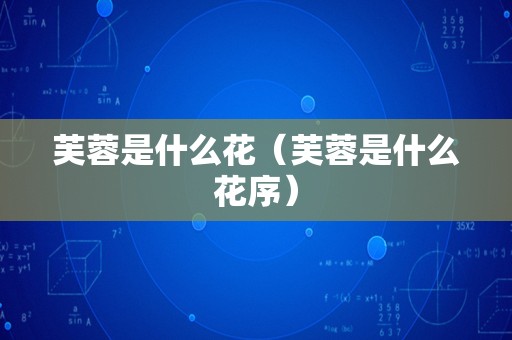 芙蓉是什么花（芙蓉是什么花序）