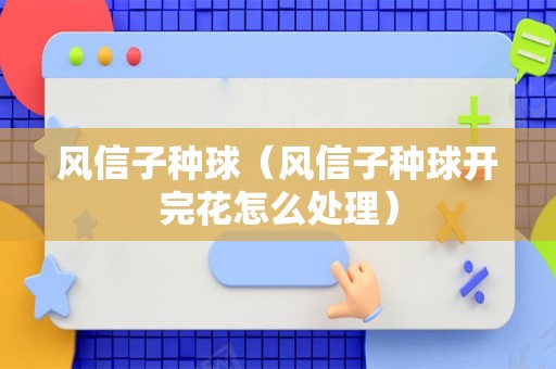风信子种球（风信子种球开完花怎么处理）