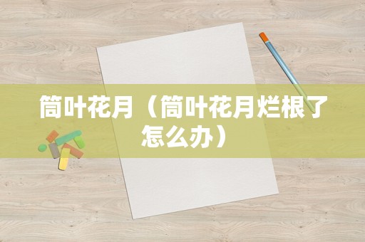 筒叶花月（筒叶花月烂根了怎么办）