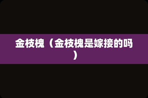 金枝槐（金枝槐是嫁接的吗）