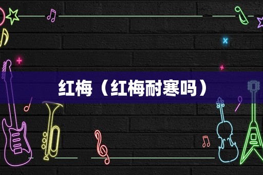 红梅（红梅耐寒吗）