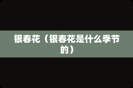 银春花（银春花是什么季节的）