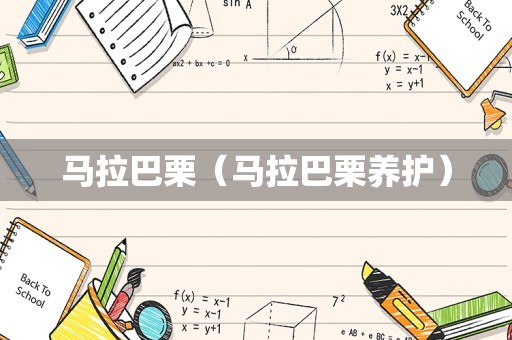 马拉巴栗（马拉巴栗养护）