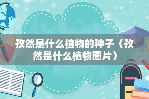 孜然是什么植物的种子（孜然是什么植物图片）