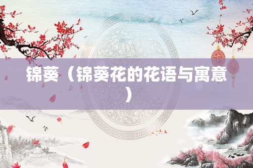 锦葵（锦葵花的花语与寓意）