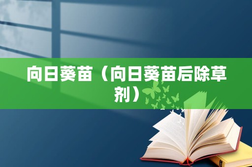 向日葵苗（向日葵苗后除草剂）