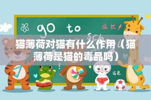 猫薄荷对猫有什么作用（猫薄荷是猫的毒品吗）