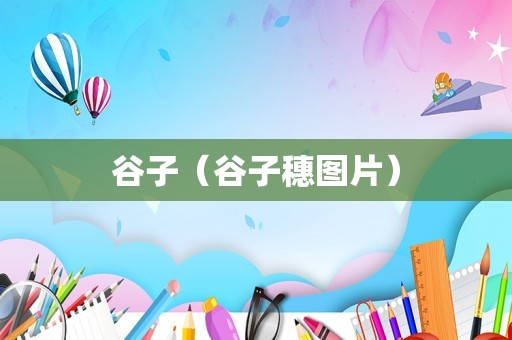 谷子（谷子穗图片）