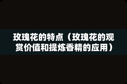 玫瑰花的特点（玫瑰花的观赏价值和提炼香精的应用）