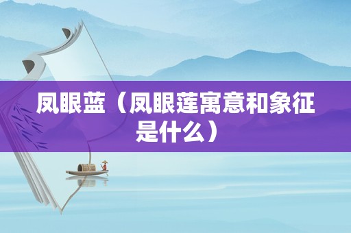 凤眼蓝（凤眼莲寓意和象征是什么）