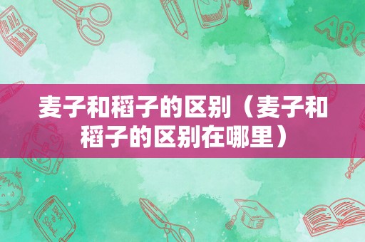 麦子和稻子的区别（麦子和稻子的区别在哪里）