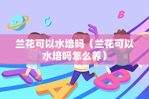 兰花可以水培吗（兰花可以水培吗怎么养）