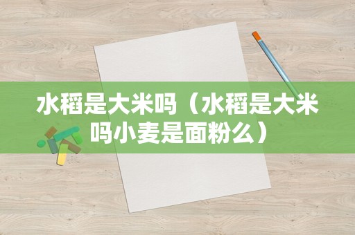 水稻是大米吗（水稻是大米吗小麦是面粉么）
