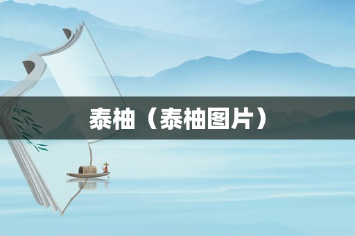泰柚（泰柚图片）