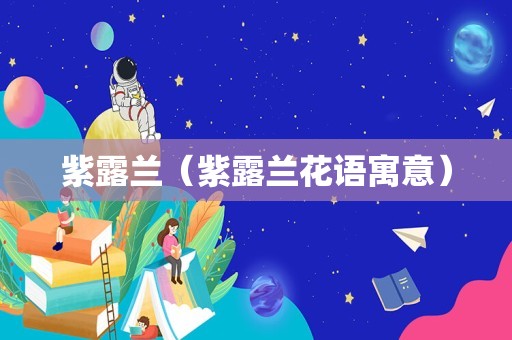 紫露兰（紫露兰花语寓意）