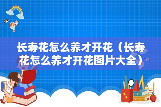 长寿花怎么养才开花（长寿花怎么养才开花图片大全）