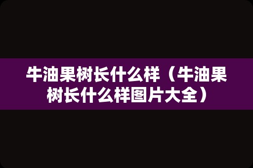 牛油果树长什么样（牛油果树长什么样图片大全）