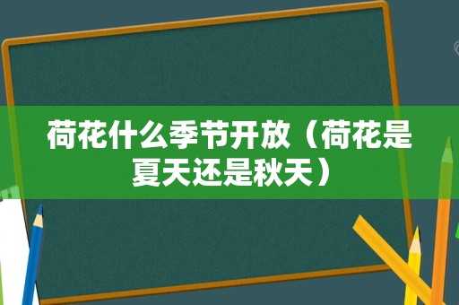 荷花什么季节开放（荷花是夏天还是秋天）